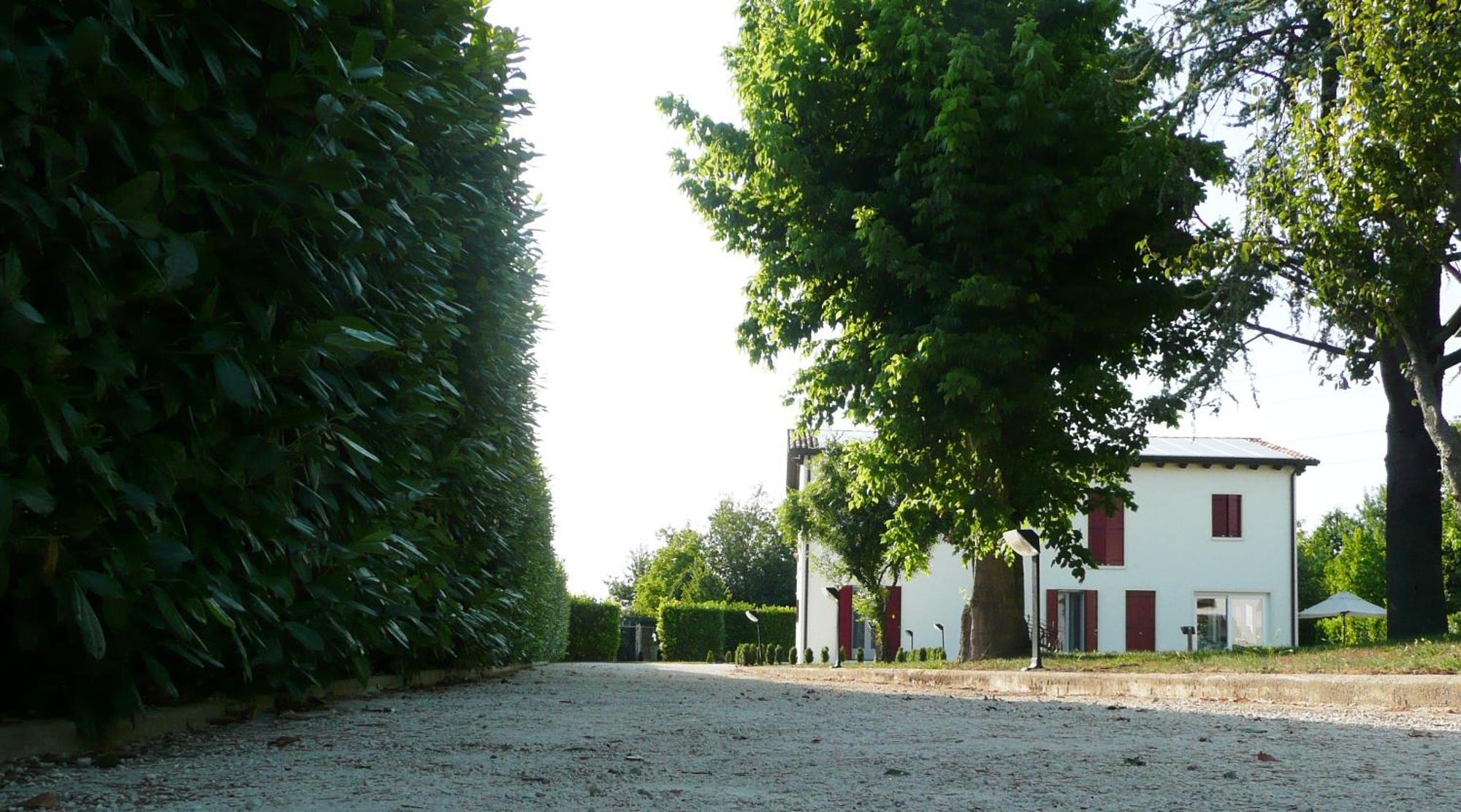 Agriturismo Campoverde Camponogara Exterior foto